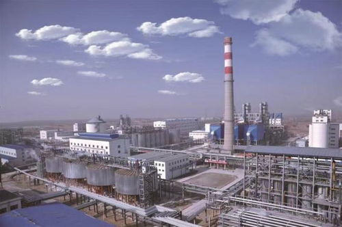 高鋁粉煤灰提取氧化鋁多聯(lián)產(chǎn)技術(shù) 創(chuàng)新示范引領(lǐng)循環(huán)經(jīng)濟(jì)發(fā)展